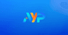 AYP Group